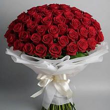 Букет 101 Красная роза Блэк Мэджик в Звёздном