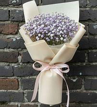 Букет цветов из:  Гипсофила #REPLACE_PRED# Звёздном