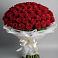 Букет 101 Красная роза Блэк Мэджик в Звёздном