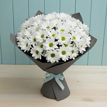 Букет цветов из:  Хризантемы #REPLACE_PRED# Звёздном