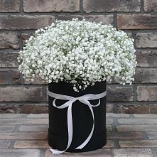 Цветочная композиция из Гипсофила в шляпной коробке в Звёздном