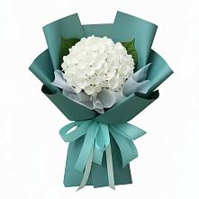 Букет цветов из:  Гортензия в Звёздном